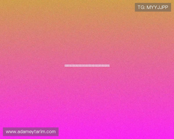 澳门新濠天地集团娱乐平台的客户服务体系建设与玩家满意度提升路径
